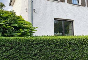 Gepflegtes freistehendes Einfamilienhaus in Zentraler Lage