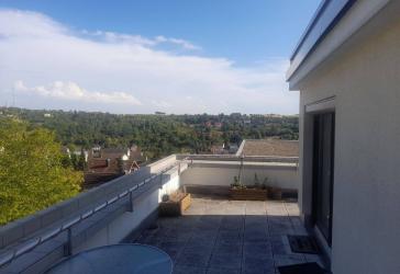 2-Zimmer-Dachterrassenwohnung in Höchberg