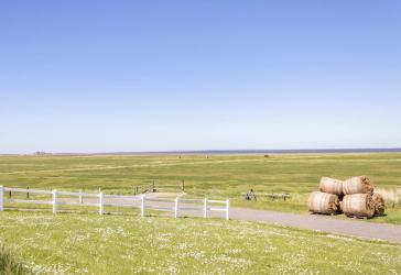 Einzigartig - Leben auf einer Nordsee Hallig! Hooge!