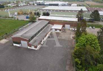 LAGERFLÄCHEN + PRODUKTIONSHALLE IN MECKENHEIM | PROVISIONSFREI | EBENERDIG | 7,00 m UKB | BÜRO