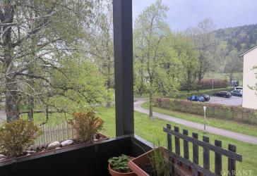 Sonnige Aussichten!
