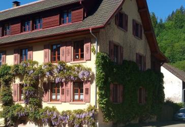 Charmante Doppelhaushälfte in ruhiger Lage des Hebeldorfes Hausen im Wiesental