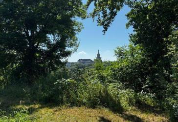 'OSTERBURGBLICK'! EFH mit Ausbau-Potential für Kreative & 3290m²-Grundstück, große Wiese, für Sport & Spiel, Kleintierhaltung & Bio-Gärtner!