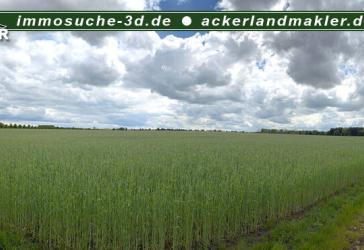 Vorschaubild Immobilie