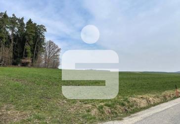 Vorschaubild Immobilie