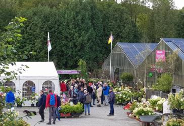 Vorschaubild Grundstück