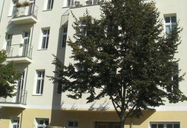Vorschaubild Mehrfamilienhaus