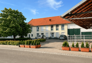 Vorschaubild Mehrfamilienhaus