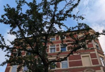 Vorschaubild Mehrfamilienhaus