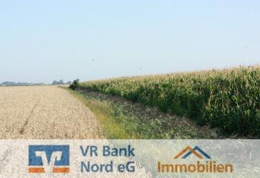 Vorschaubild Immobilie