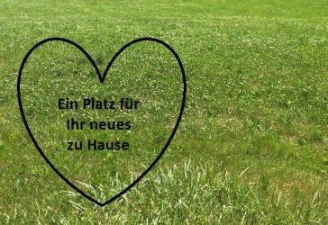 Vorschaubild Grundstück