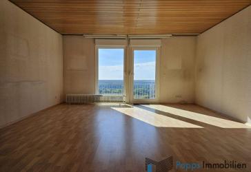Großes doppelt unterkellertes Einfamilienhaus mit traumhaftem Blick über die Skyline Frankfurts