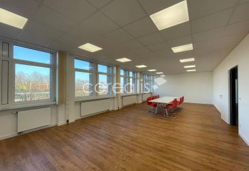 Vorschaubild Büro- /Praxis-Immobilie