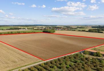 Ackerland mit Klarheit - 6,5 ha arrondierte Fläche bei Ochsenfurt-Erlach