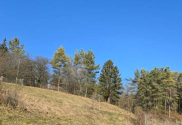Vorschaubild Grundstück