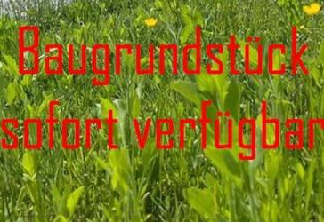 Vorschaubild Grundstück