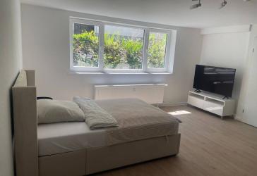 Geräumige 1 Zimmerwohnung. Erstbezug nach Sanierung