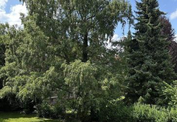 Helle 2,5 Zimmer Wohnung mit großem Balkon in Stadtpark-Nähe