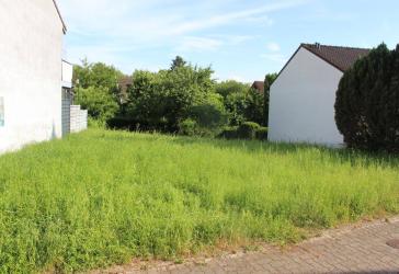 Vorschaubild Grundstück