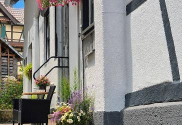 Zuhause im Schwarzwald - Generationen & neue Lebensideen auf 207 m² + 943 m² Freizeitgrundstück !