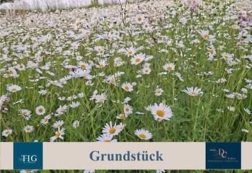 Vorschaubild Grundstück