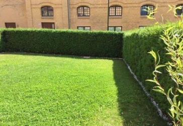 Gartenwohnung mit Denkmal AfA - 3 Zi. Erstbezug Balkon Garten provisionsfrei
