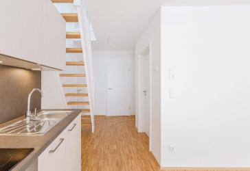 NEUBAU: Urbanes Wohnen im Grünen in Großhansdorf