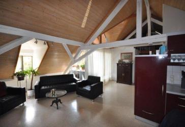 Petershauser Park: 4½-Zimmer DG-Wohnung mit Dachterrasse in top Zustand - vermietet