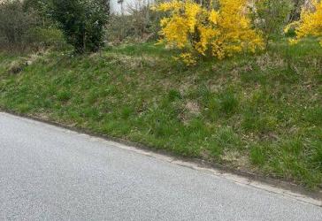 Vorschaubild Grundstück