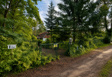 Waldidylle in Basdorf – 1.139 m² Baugrundstück in absoluter Ruhelage | Glasfaser | §34 BauGB | erschlossen