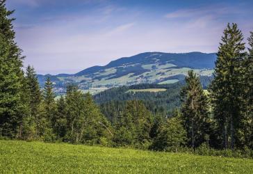Vorschaubild Sonstiges Haus