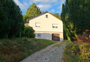 Haus am Hang: Einfamilienhaus mit großzügigem Garten und viel Potenzial