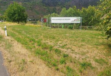 Bremm im Herzen der Calmontregion ebenes Wiesengrundstück an der Mosel - unverbaubarer Moselblick - provisionsfrei kaufen