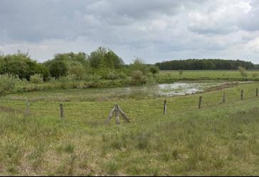 24 ha Grünland/Biotop zu verkaufen