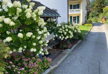 Vorschaubild Sonstiges Haus