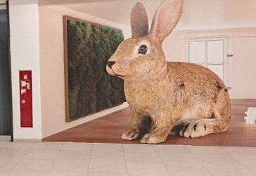Vorschaubild Immobilie
