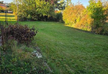 Jetzt Schnäppchen sichern - tolle DHH-teilrenoviert mit riesigem Grundstück fast 2000 qm