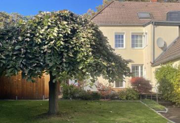 Modernes Einfamilienhaus mit viel Platz und idyllischem Garten, Kaufgrundstück