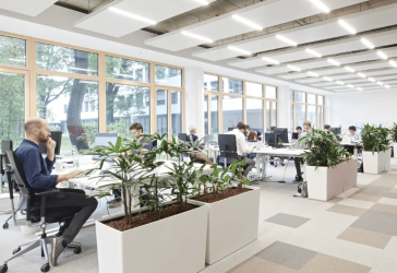 Vorschaubild Büro- /Praxis-Immobilie