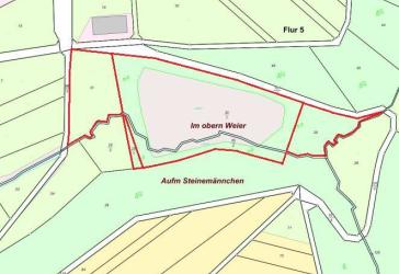Land- und forstwirtschaftliche Erholungsfläche mit Teichanlage in Lamscheid *PROVISIONSFREI*