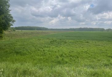 3 bis 50 ha Ackerland zu verkaufen
