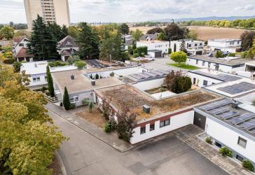 Gepflegter Bungalow inkl. Sanierungsfahrplan in Frankenthal