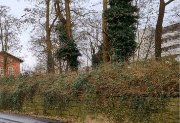 Vorschaubild Grundstück