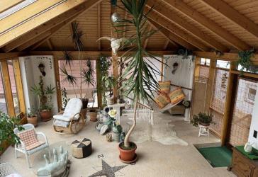 Endlich alles unter einem Dach: Luxushaus + Gewerbehalle!