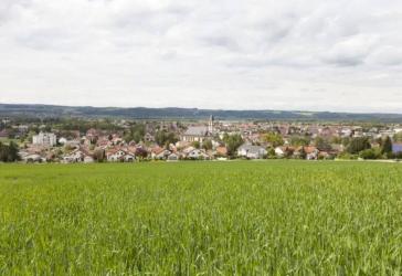 Schönes MGH mit viel Potenzial, großem Grundstück im Grünen. VB!