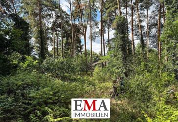 Traumhafte Insellage inmitten der Siedlung - ideal für ein Wohnhaus mit großen Glasflächen
