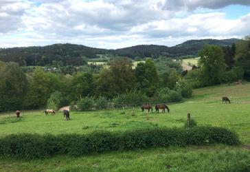 Vorschaubild Haus