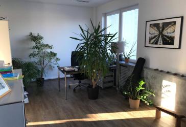 Vorschaubild Büro- /Praxis-Immobilie