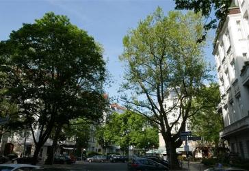 Charlottenburg: Bestlage : Jugendstil-Etage mit Lift und 2 Loggien !