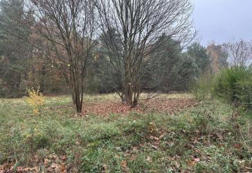 Freies Grundstück innerhalb von Kremmen- Beetz